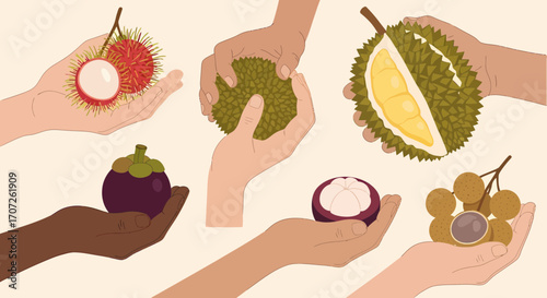 Diverse Hands Presenting Exotic Tropical Fruits Rambutan Durian Mangosteen and Longan.