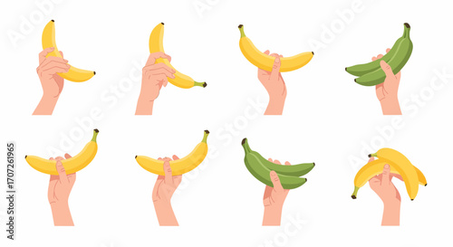 Hands Holding Bananas Ripe Yellow and Green Fruit.