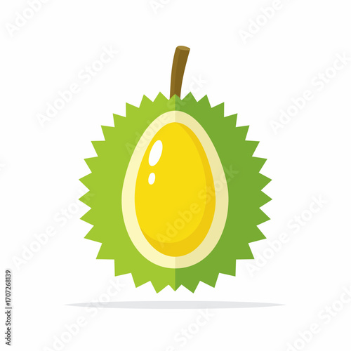 Vector illustration of a single spiky durian fruit, flat design icon isolated on a white background