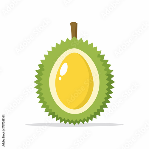 Vector illustration of a single durian fruit shown in cross-section, flat icon design, isolated