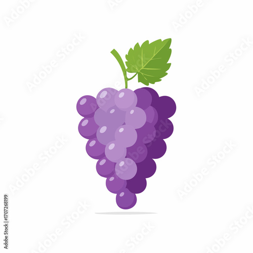 Vibrant cluster of purple grapes with a fresh green leaf, flat design vector illustration, isolated on white background