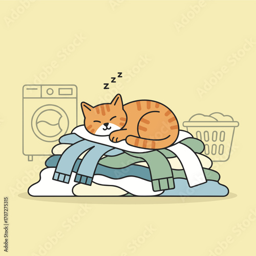 Cat sleeping on folded laundry near washing machine and basket  