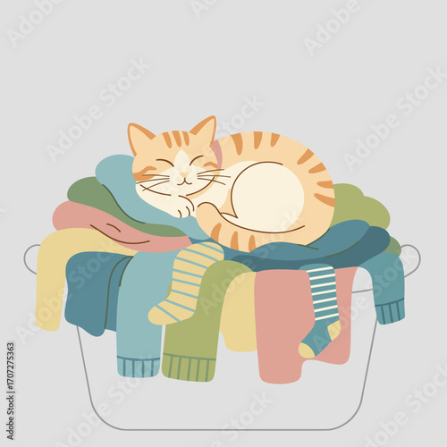 Cat sleeping on laundry pile of colorful clothes in basket  