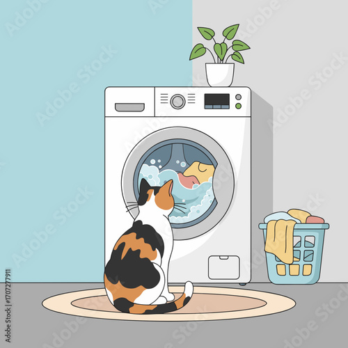 Cat watching laundry spin in modern washing machine at home  