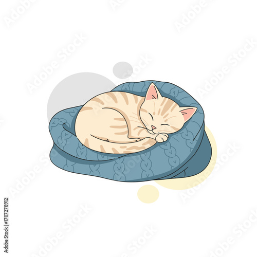 Cute orange cat sleeping on a blue pet bed with soft patterns  