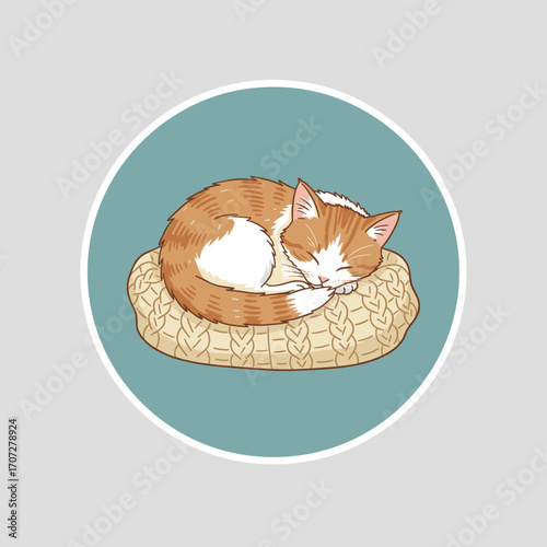 Sleeping orange cat curled up on knitted blanket in cozy style  