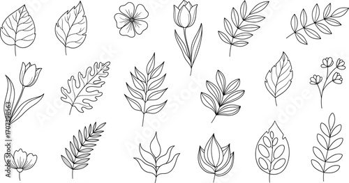 Minimalist botanical vector set featuring black leaves and floral silhouettes for nature-themed design, decoration, packaging, and educational use.