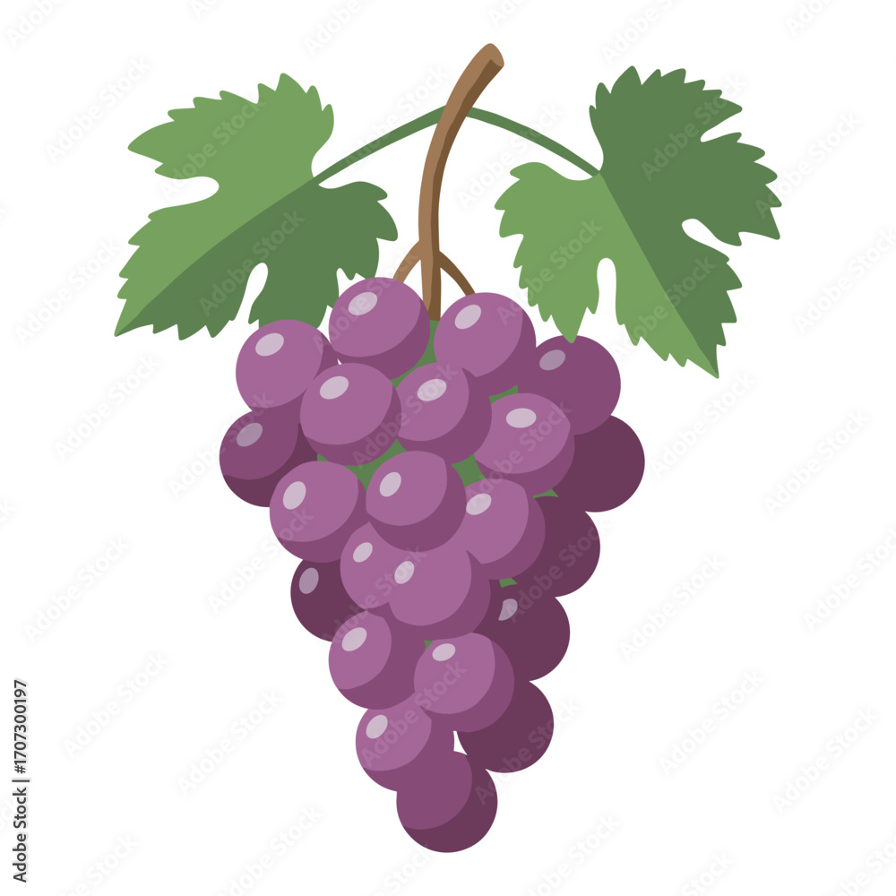 Fototapeta premium Vibrant purple grapes on vine with green leaves – flat illustration