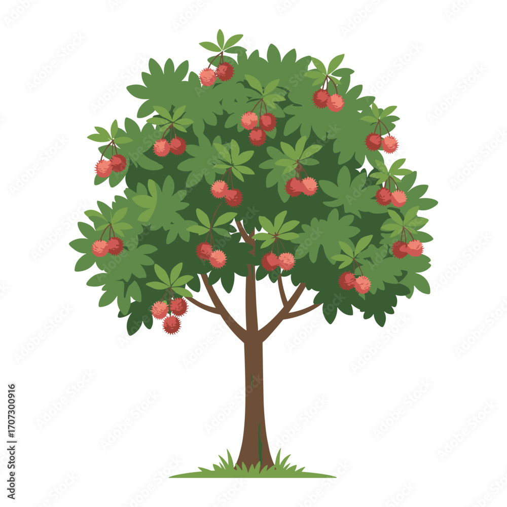 Fototapeta premium Rambutan tree with lush foliage and ripe red fruits – flat illustration