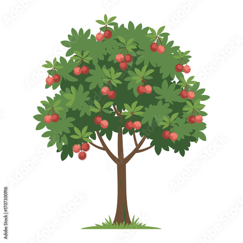 Rambutan tree with lush foliage and ripe red fruits – flat illustration