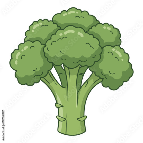 Fresh cartoon broccoli illustration with green florets – flat illustration