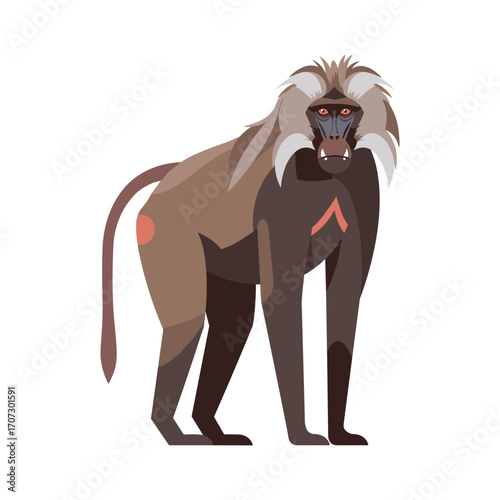 Colorful mandrill illustration of a standing primate with distinctive features – flat illustration