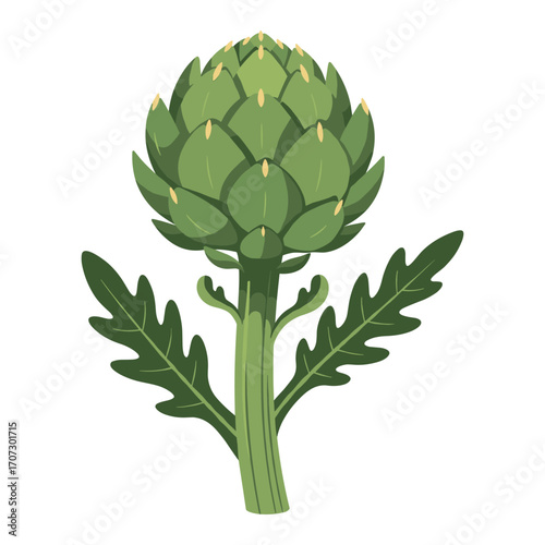 Illustrated green artichoke with leaves – flat illustration