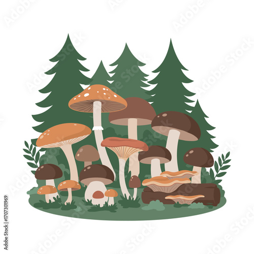Forest mushrooms and evergreen trees in lush woodland setting – flat illustration