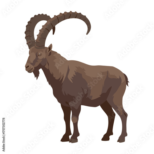 Majestic alpine ibex with large curved horns – flat illustration
