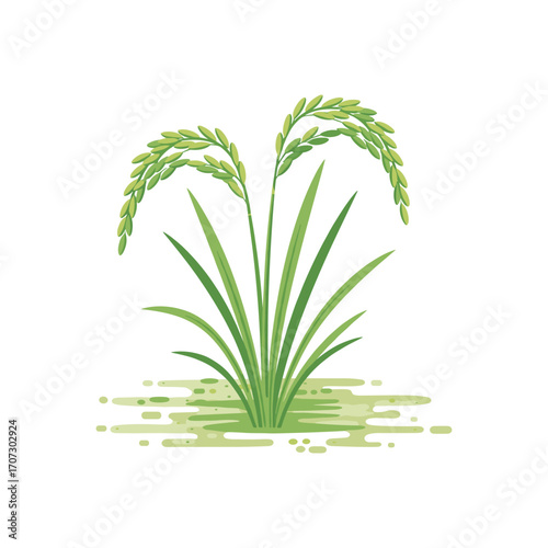Illustration of a lush green rice plant with ripened grains – flat illustration