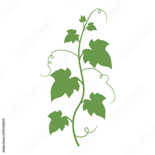 Green vine with curling tendrils and leaves – flat illustration