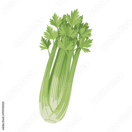 Fresh celery stalks – flat illustration
