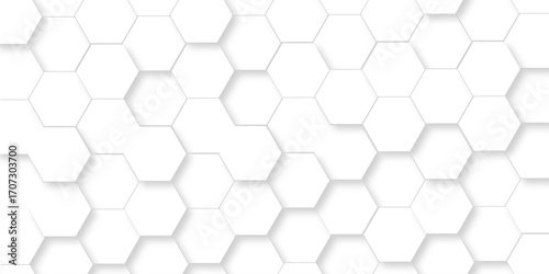Abstract pattern hexagonal white technology line paper background. Hexagonal grid tile mosaic structure mess cell design. white and gray hexagon honeycomb football geometric copy space business text.	