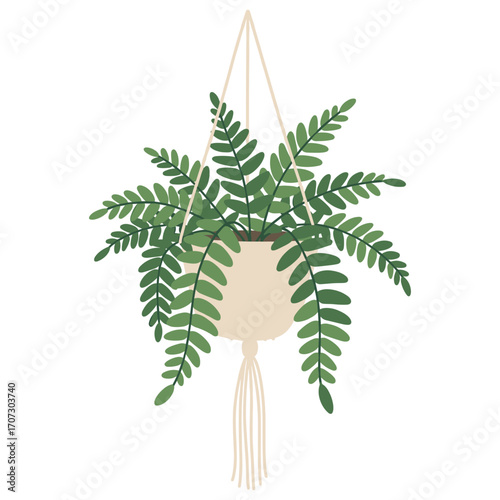 Hanging macramé planter with lush green fern – flat illustration