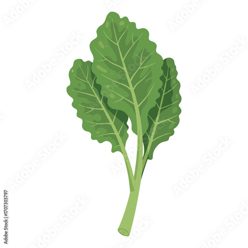 Fresh green spinach leaves with crisp texture and vivid colors – flat illustration