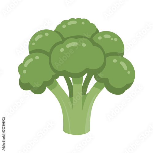 Cartoon broccoli illustration with green florets and stalk – flat illustration