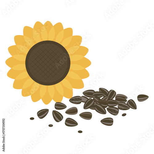 Sunflower with scattered seeds – flat illustration