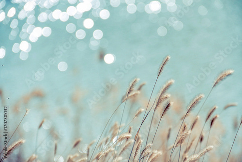 Delicate grasses sway gently against a backdrop of shimmering, blurred water.