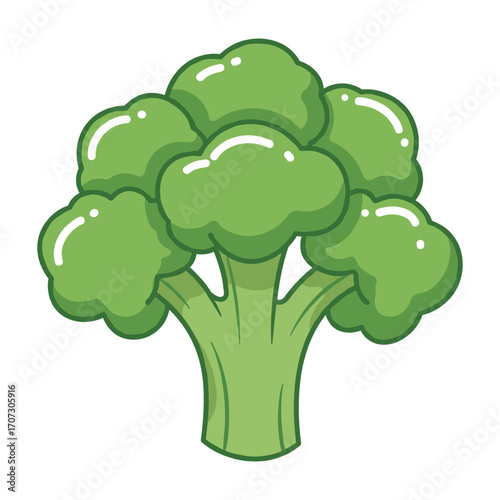 Fresh green broccoli illustration – flat illustration