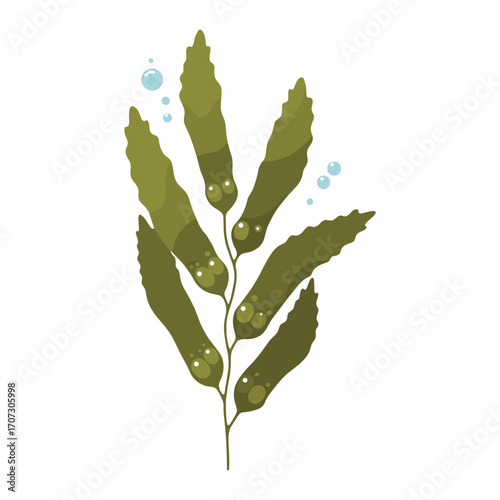 Vector seaweed illustration with green leaves and bubbles – flat illustration