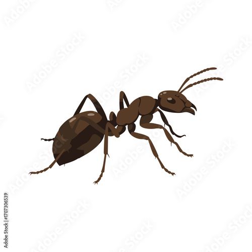 Detailed illustration of a brown ant – flat illustration