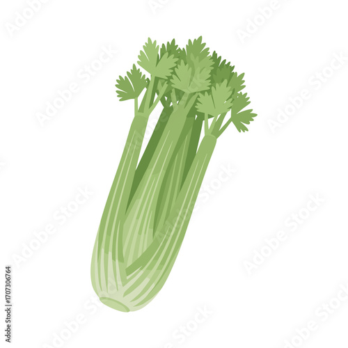 Fresh green celery stalks – flat illustration