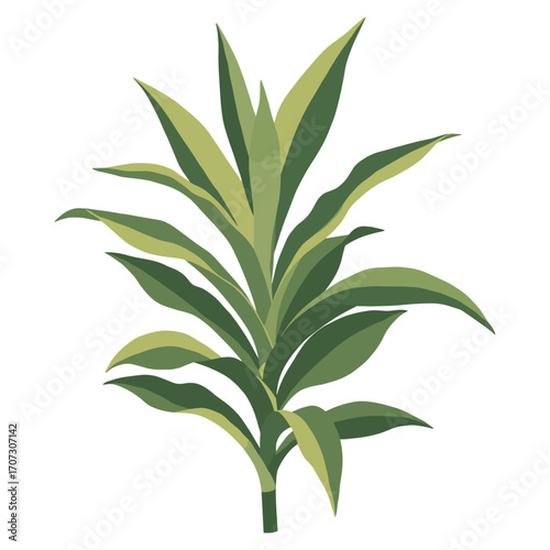 Vibrant green dracaena plant with lush leaves – flat illustration