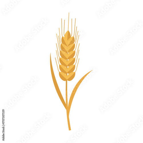 Golden wheat ear illustration – flat illustration