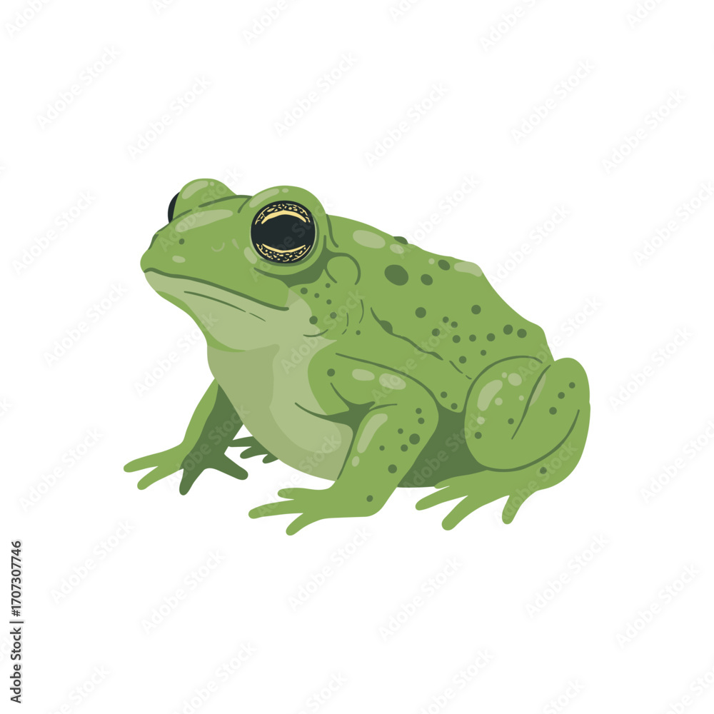 Obraz premium Green frog illustration – flat illustration