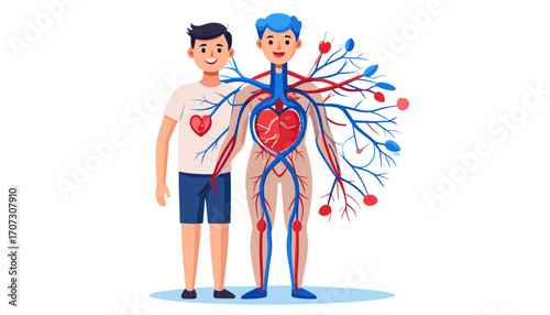 Boy with visible human circulatory system