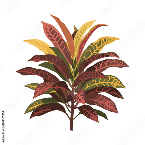 Colorful croton plant with variegated leaves – flat illustration