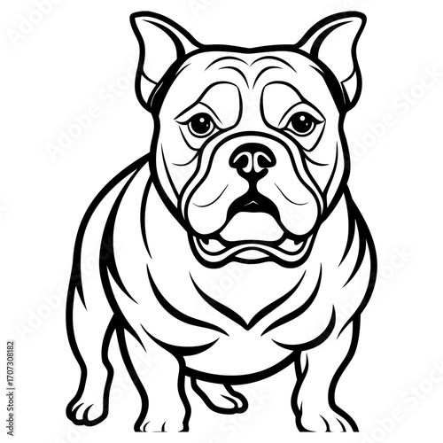 Black and white line art illustration of a bulldog standing