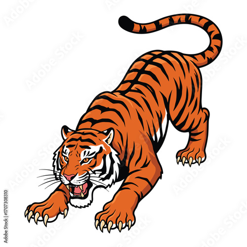 Fierce tiger illustration with striped fur and aggressive stance – flat illustration