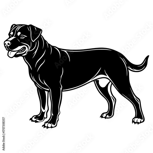 Black and white illustration of a muscular dog standing