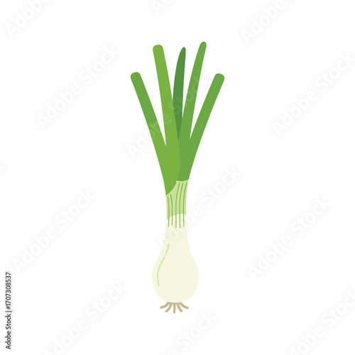Green and white spring onion – flat illustration