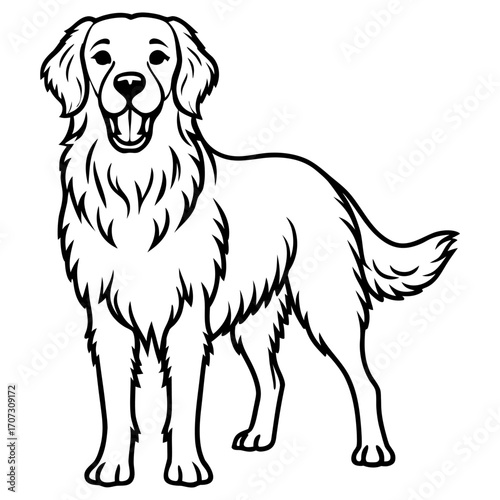 Cute golden retriever dog standing upright, line art illustration