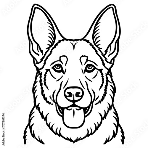 Detailed line art illustration of a german shepherd dog head facing forward