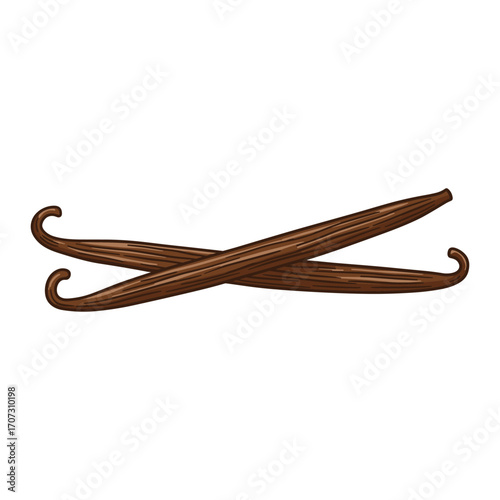 Two whole vanilla beans crossed on white background: aromatic cooking ingredients – flat illustration