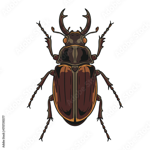 Detailed illustration of a stag beetle with horns on a – flat illustration