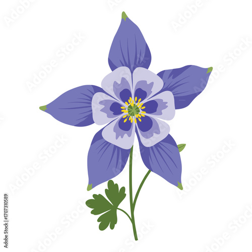 Illustration of a beautiful purple columbine flower with green leaves – flat illustration