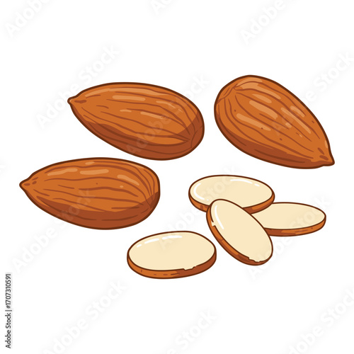 Realistic almonds illustration with whole and sliced views – flat illustration