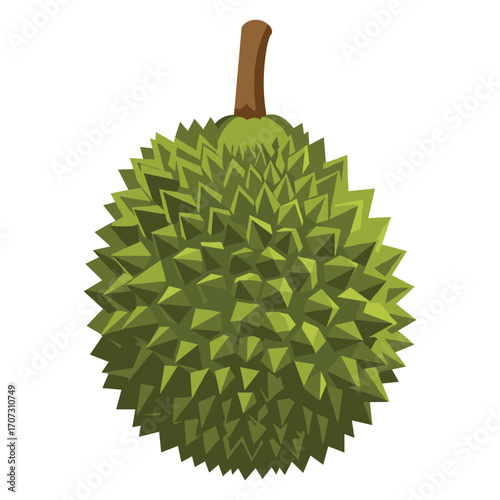 Spiky green durian on white background with detailed texture – flat illustration