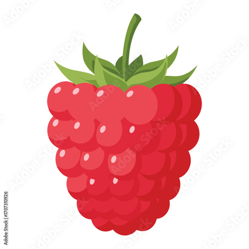 Vibrant raspberry with green leaves – flat illustration