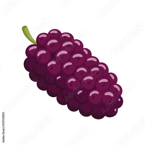 Vector illustration of a plump, juicy mulberry with detailed texture on a – flat illustration